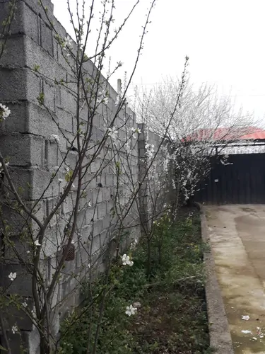 تصویر 2 - ویلا جنگل کنار در بابل