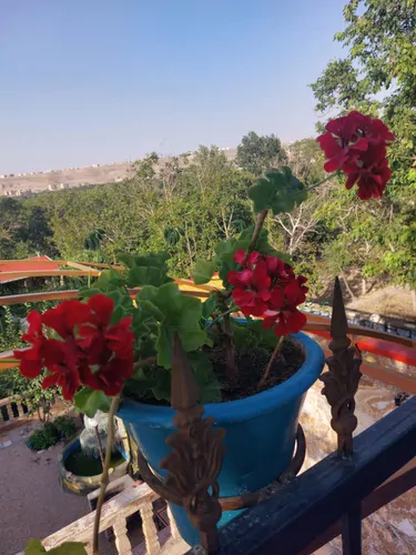 تصویر 31 - ویلا آتاباغی (1) در  اسکو