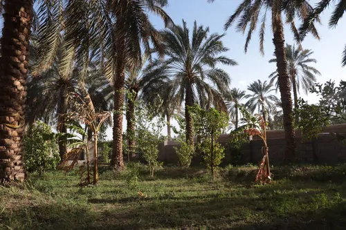 تصویر 3 - ویلا باغ ویلای فردین در بم