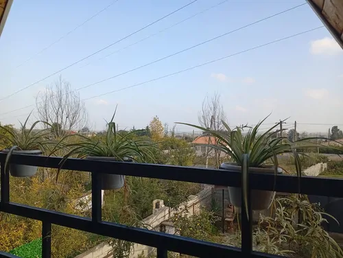 تصویر 23 - کلبه قاصدک در ماسال