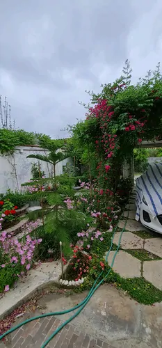 تصویر 4 - ویلا منزل آرامش در بابلسر