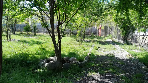 تصویر 14 - ویلا ویلایی شمس در  ماسال