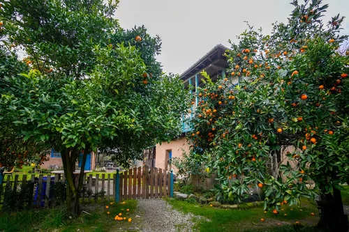 تصویر 8 - اقامتگاه بوم‌گردی کندوج (واحد منظر خانم) با صبحانه رایگان در  شهسوار