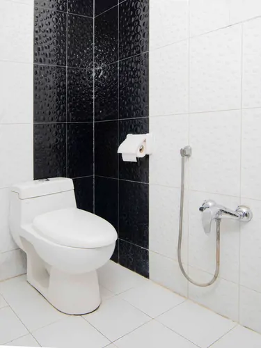 تصویر 16 - آپارتمان مبله نوفل لوشاتو (b) در حافظ در تهران