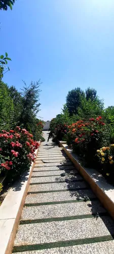 تصویر 23 - ویلا استخر آبگرم آسیا در  سهیلیه