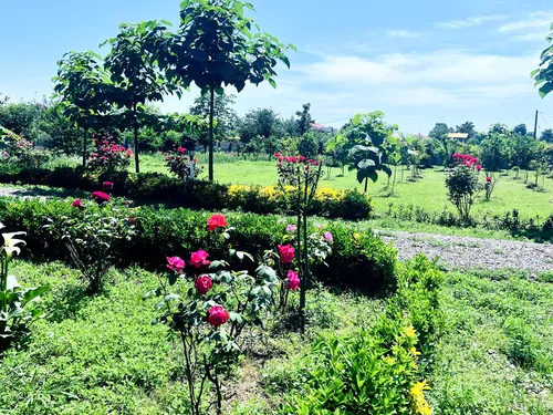 تصویر 16 - ویلا مرجان (دو) در  فومن