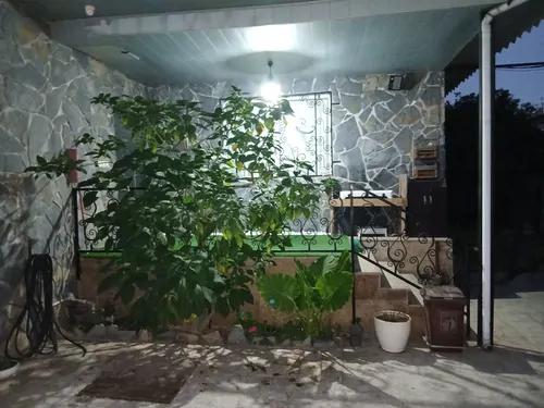 تصویر 5 - ویلا ویلای اریو در  خمام