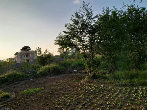 تصویر 12 - ویلا یاس در  هچیرود