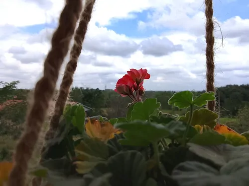 تصویر 23 - کلبه  دیارا در  ماسال