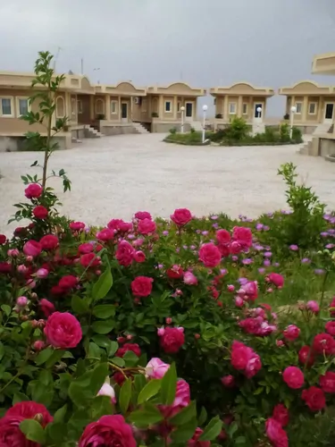 تصویر 2 - سوییت نارنجستان (چهار تخته ۲) در طبس