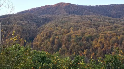 تصویر 13 - کلبه سوئیسی لونا با جکوزی در  نشتارود