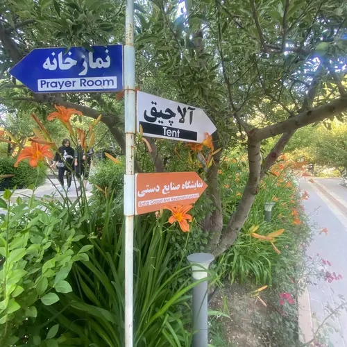 تصویر 17 - کلبه  رویال قصر چوبی بفرا (شقایق) در  خلخال