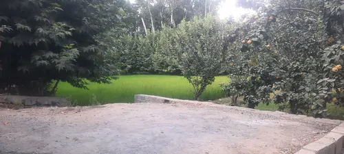 تصویر 4 - ویلا خانه ای بر روی اب در باغ بهادران
