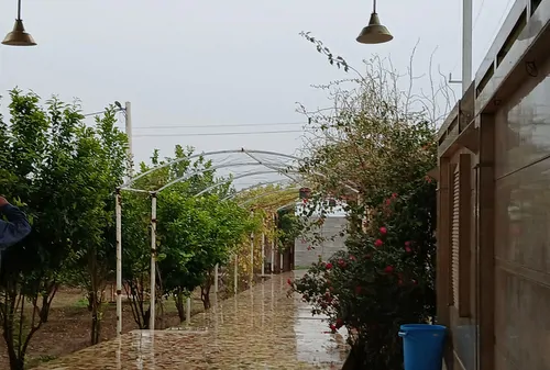 تصویر 3 - ویلا اقامت گاه لاکچری کاکتوس در اهواز