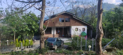 تصویر 15 - ویلا سنتی جنگلی با جکوزی در رامسر