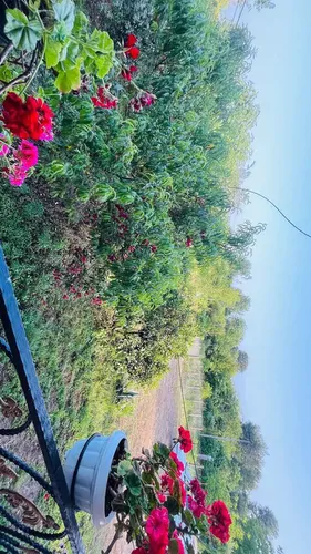 تصویر 2 - ویلا لاکچری کوهپایه ای با منظره رو به کوه و جنگل  در ماسال