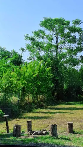 تصویر 26 - کلبه لوکس مدرن دلیجان با جکوزی در  ماسال