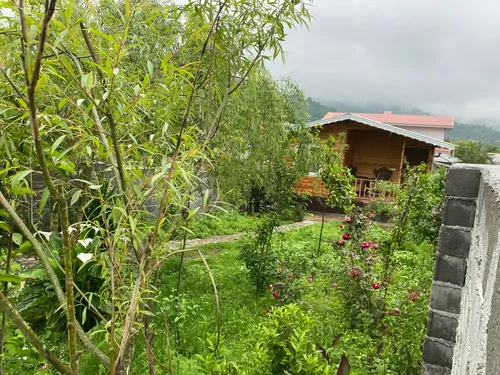 تصویر 23 - کلبه جنگلی لیام (روستای سیاهدول) در ماسال