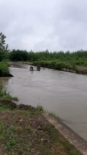 تصویر 15 - ویلا باران در  کوچصفهان