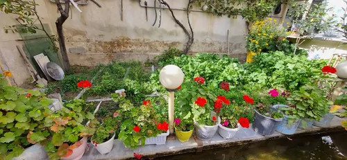 تصویر 2 - خانه خانه دربستی فرجی۱ در سرعین