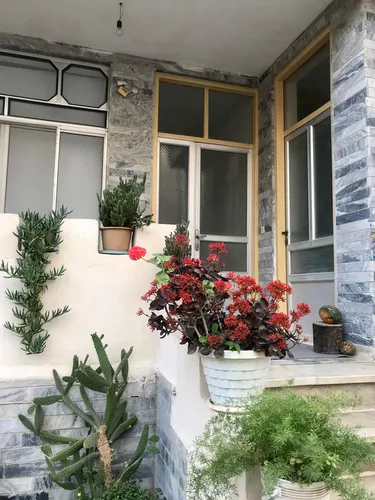 تصویر 3 - خانه نوروزیان در بهشهر