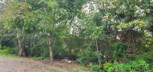 تصویر 5 - ویلا اقامتگاه قصر باران در  رشت