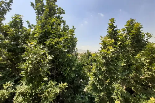 تصویر 2 - مهمانسرا اطلس (دبل ۲) در اصفهان
