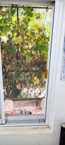 تصویر 14 - ویلا ریکا جان در  رودسر