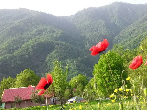 تصویر 10 - خانه ویلایی کوهسار  در  سوباتان