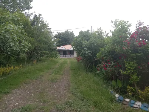 تصویر 19 - ویلا جنگلی مبله کوهپایه  در  ماسال