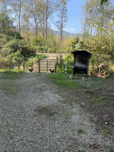 تصویر 18 - ویلا هیراد در ماسال