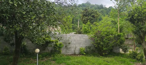 تصویر 25 - ویلا جنگلی آواز پرنده در ماسال