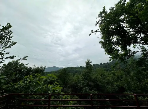 تصویر 10 - کلبه چوبی حسام با جکوزی در ماسال
