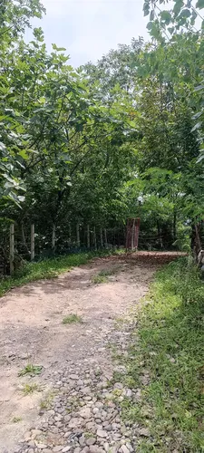 تصویر 4 - ویلا ویلای لوکس جنگلی اسایش در طبیعت  در سنگر