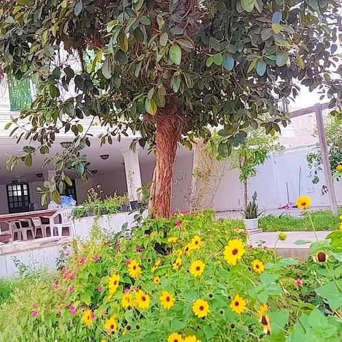تصویر 27 - ویلا عمارت سعادت در  بوشهر