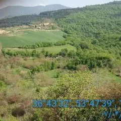 تصویر 2 - ویلا بهشت چهار فصل در گلوگاه
