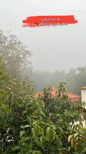 تصویر 18 - ویلا  استخردار آبگرم باران در  بهشهر