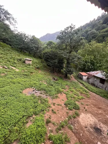 تصویر 17 - کلبه چوبی عباسی در  ماسال