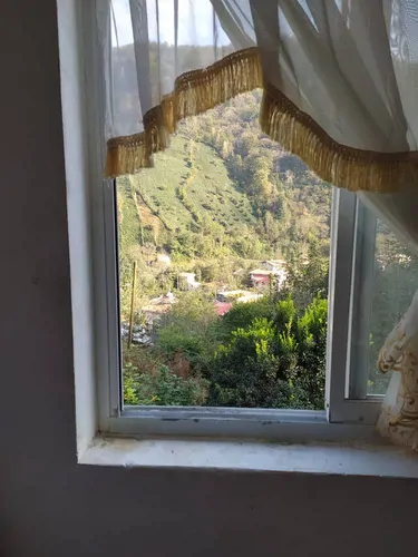 تصویر 11 - ویلا باغ جنگلی سیاهمزگی در شفت