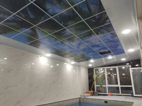 تصویر 12 - ویلا استخردار سرپوشیده آبگرم امیرحسین در چهارباغ