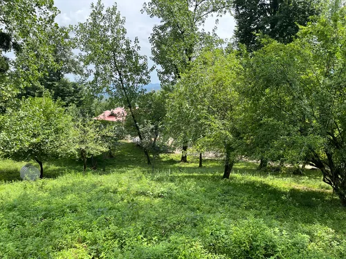 تصویر 13 - ویلا جنگلی بردیا در  ماسال