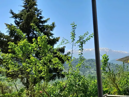 تصویر 25 - ویلا شمال سرسبز در سوادکوه