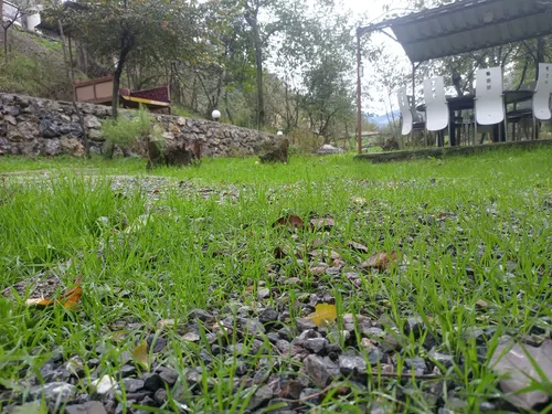 تصویر 4 - آپارتمان اقامتگاه باغ بهشت در سوادکوه