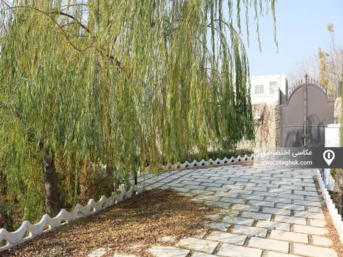 تصویر 19 - ویلا باغ استخردار آبسرد روباز در  ملارد 