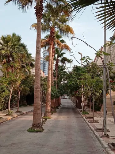 تصویر 11 - ویلا ساحلی مرجان در کیش