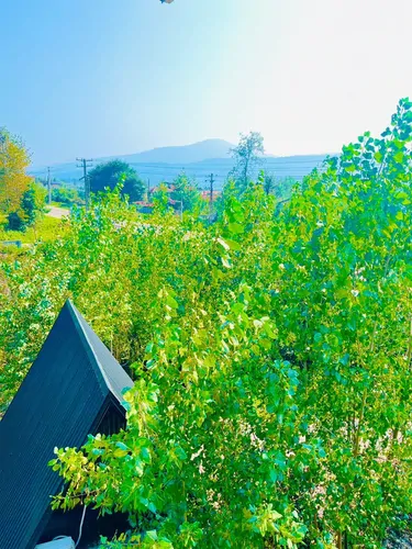 تصویر 17 - کلبه سوئیسی پناه با جکوزی  در  شیرگاه