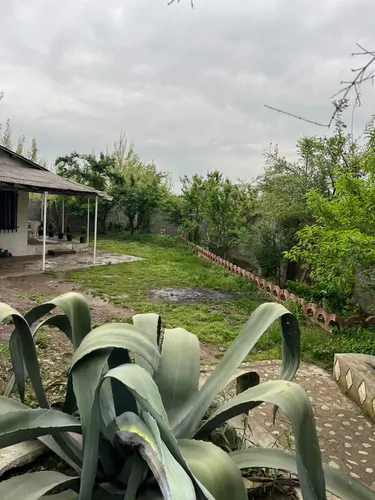 تصویر 9 - ویلا شقایق در  رشت