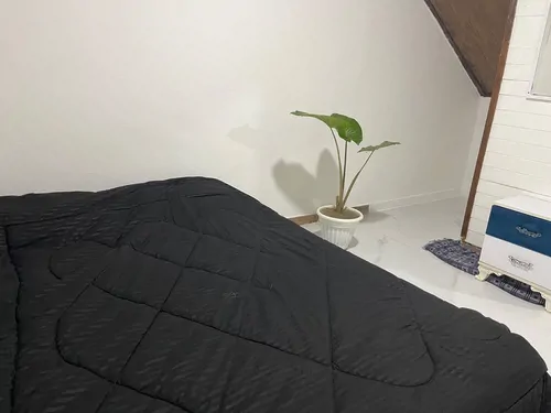 تصویر 2 - ویلا ارغوان  در نور