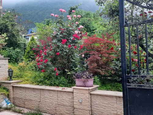 تصویر 20 - ویلا جنگلی بام شهر در  کلاردشت