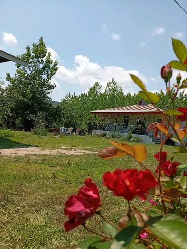 تصویر 25 - ویلا جنگلی فردین در ماسال